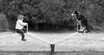 photographer