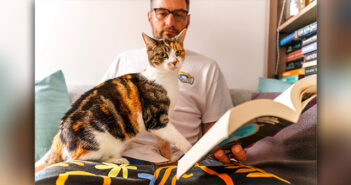 Cats Protection