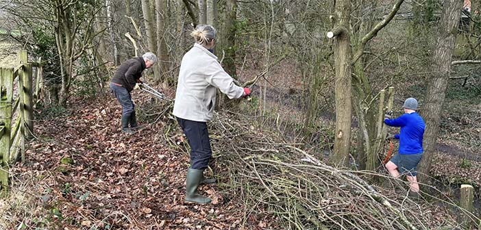 Culcheth Linear Park