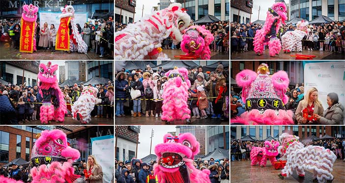 Lunar New Year