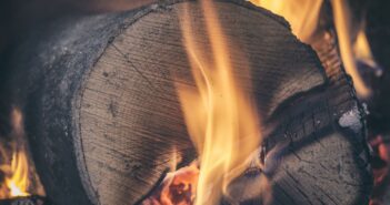 kiln dried logs