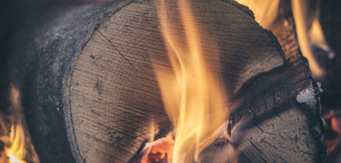 kiln dried logs