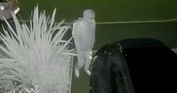 vehicle interference