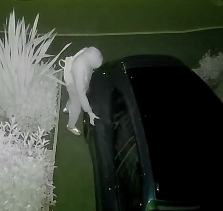 vehicle interference