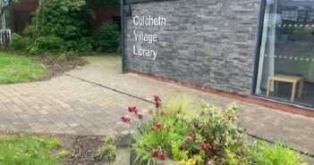 Wild-flowers at library
