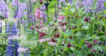 Gardening Society