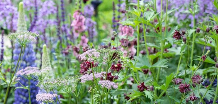 Gardening Society