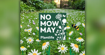 No Mow May