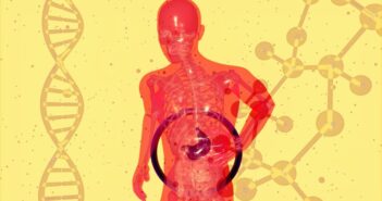 gut health