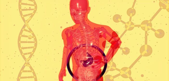 gut health