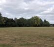 sports pitch
