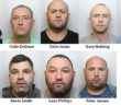 organised crime gang