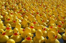 duck race