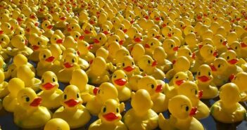 duck race