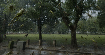 raining frogs