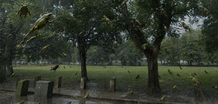 raining frogs