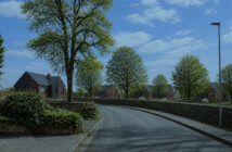 lymm rugby