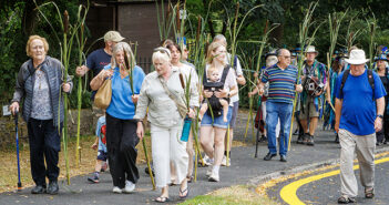 lymm rushbearing