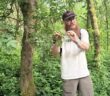 learning to "read" a wood
