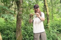 learning to "read" a wood