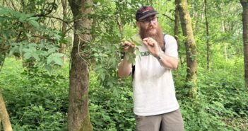 learning to "read" a wood