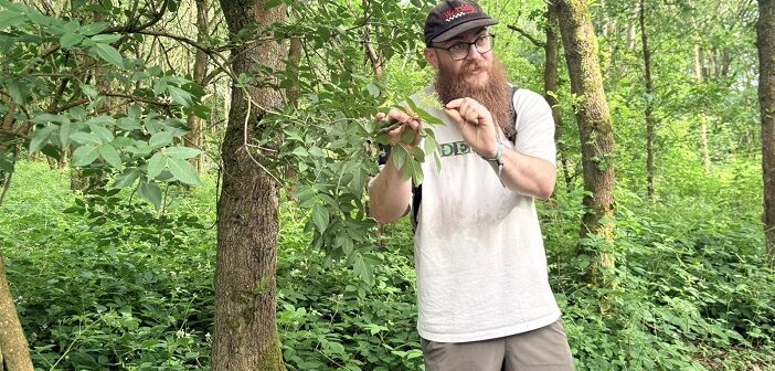 Learning to “read” a wood at Lymm