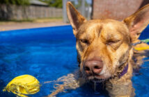 heatwave