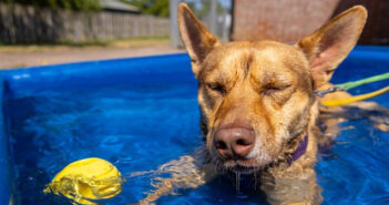 heatwave