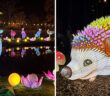 Land of Lights