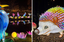Land of Lights