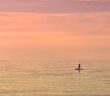 Paddle boarding