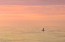 Paddle boarding
