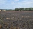 winwick