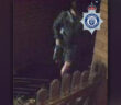 attempted arson
