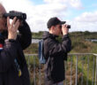 woolston eyes