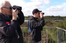 woolston eyes