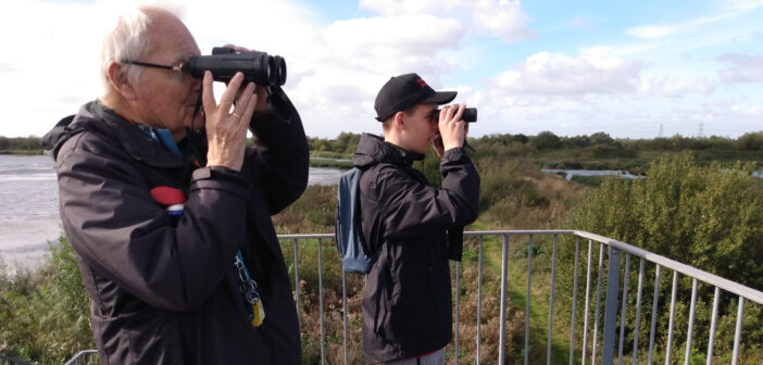 woolston eyes