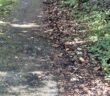 footpath