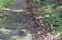 footpath