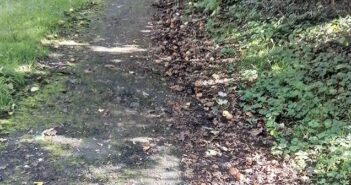 footpath