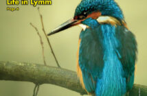 Lymm Life