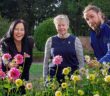 walled garden