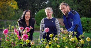 walled garden