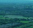 green belt