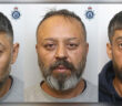 organised crime group