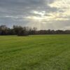 green belt
