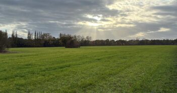 green belt