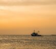 sea fishing