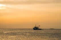 sea fishing