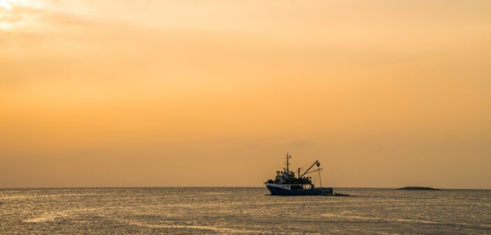 sea fishing